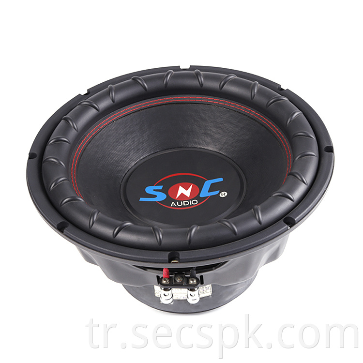 Professional High Power Subwoofer